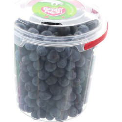 MYRTILLE SEAU 6X500G